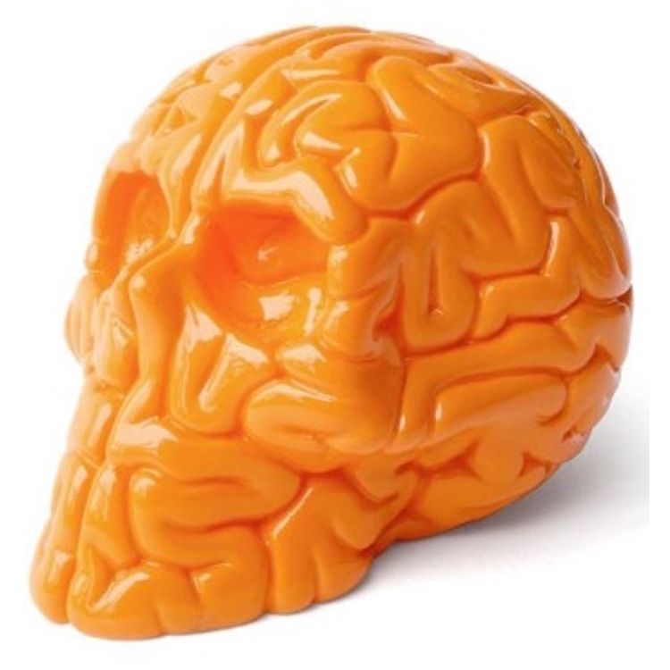 Mini Skull Brain Orange Edition by Emilio Garcia