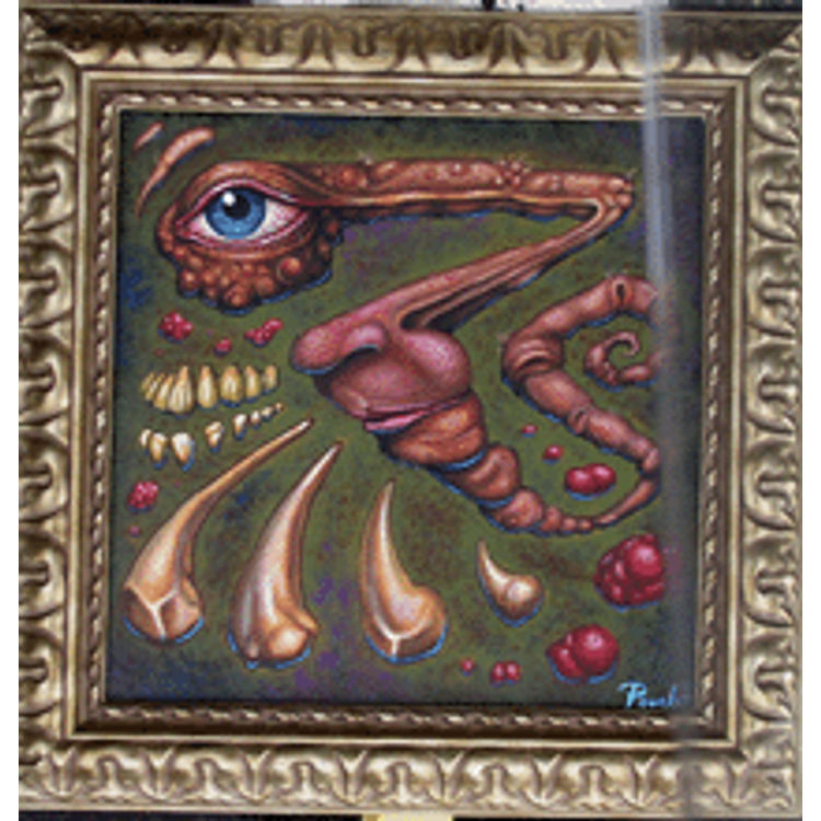 Zee Eye by Pooch