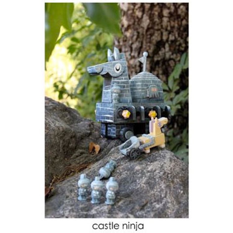 Castle Ninja by Amanda Visell