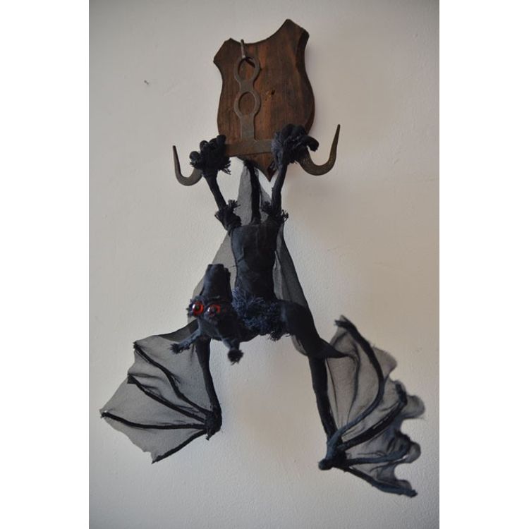 Chauve Souris by Daniel Talone