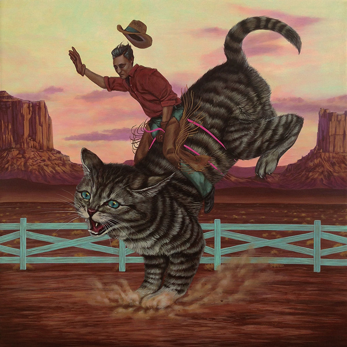 Meowboy