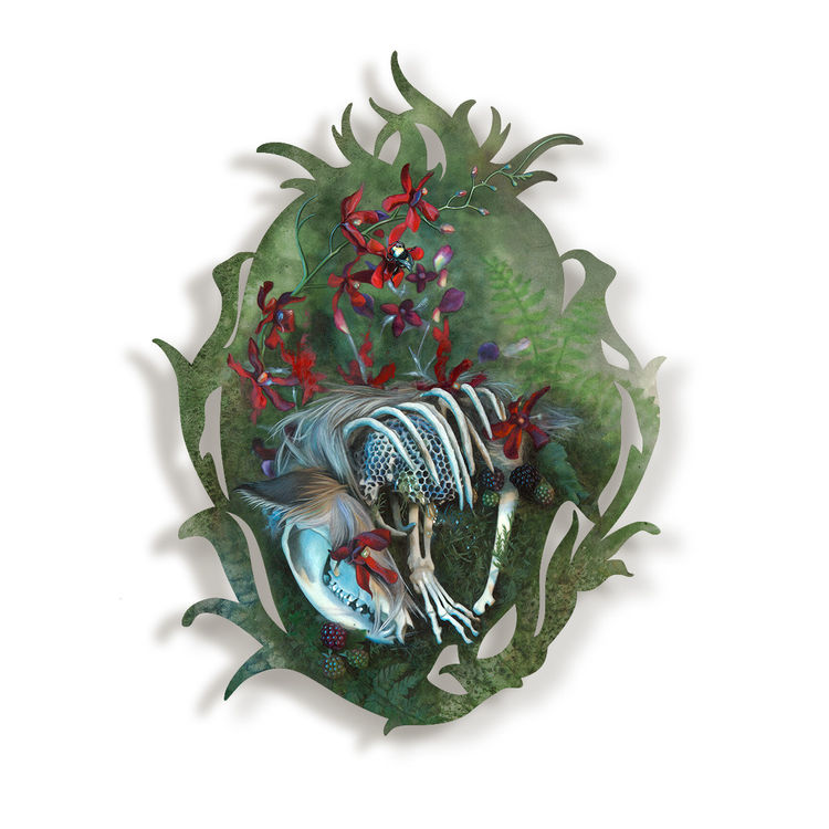 Delicate Remains by Redd Walitzki