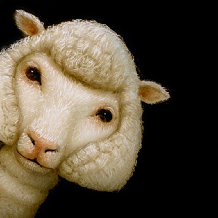 Peek 036 by Naoto Hattori