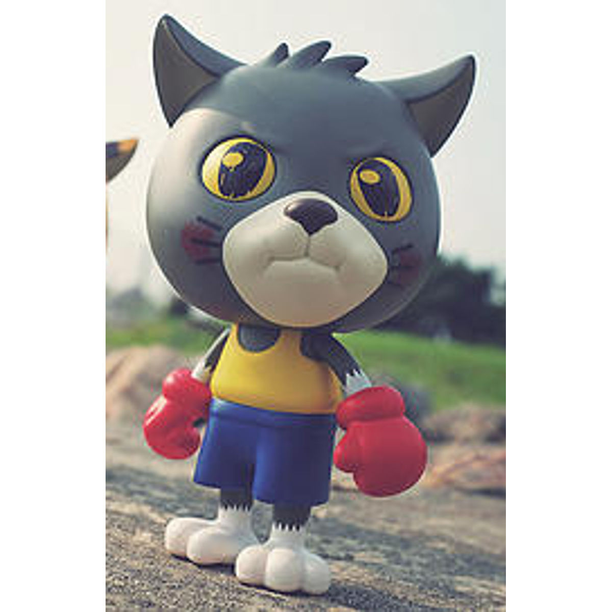 The Boxing Cats - US