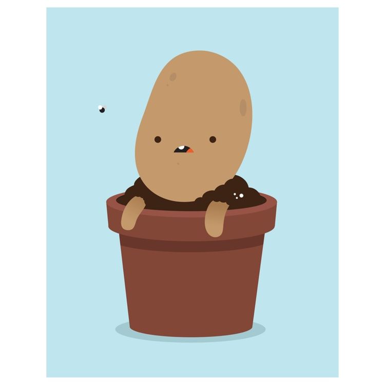 1 + 1 = Potato by Tony Rabit