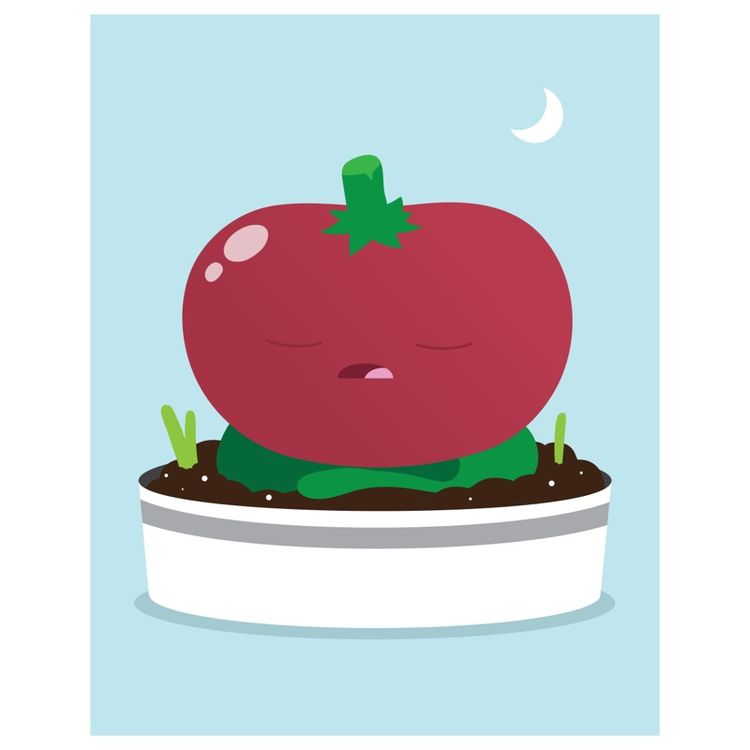 Sleepy Head by Tony Rabit