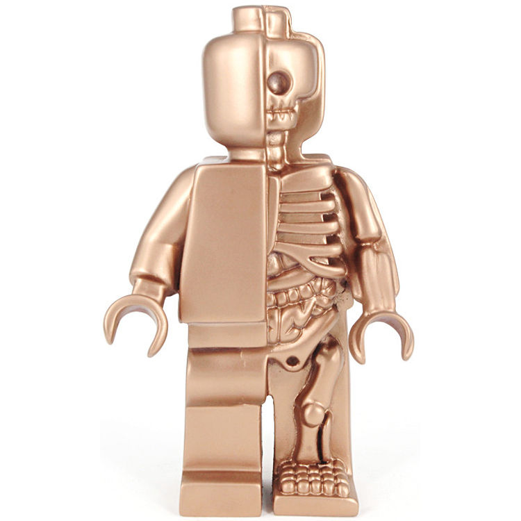 Anatomic - Cooper by Jason Freeny