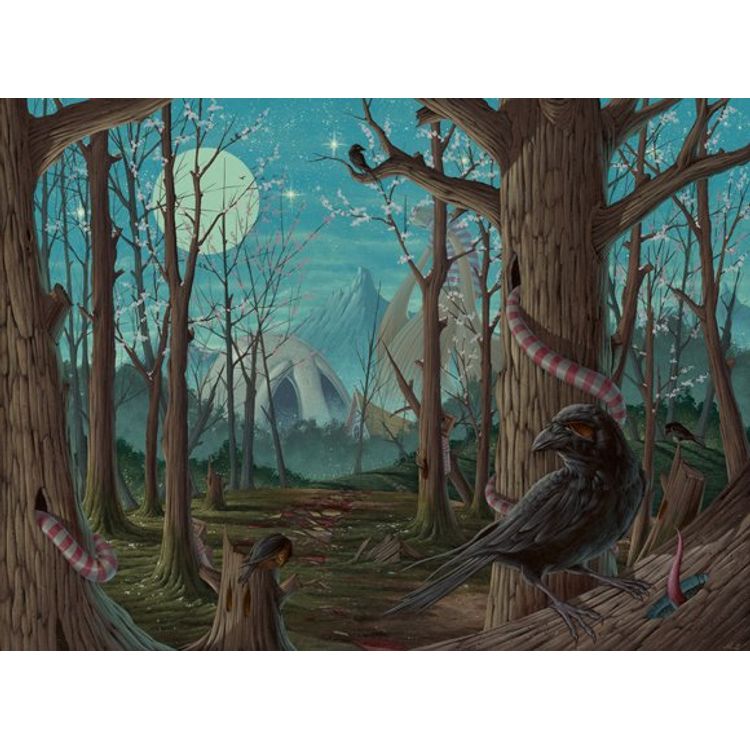 Lost Forrest by Nathan Ota