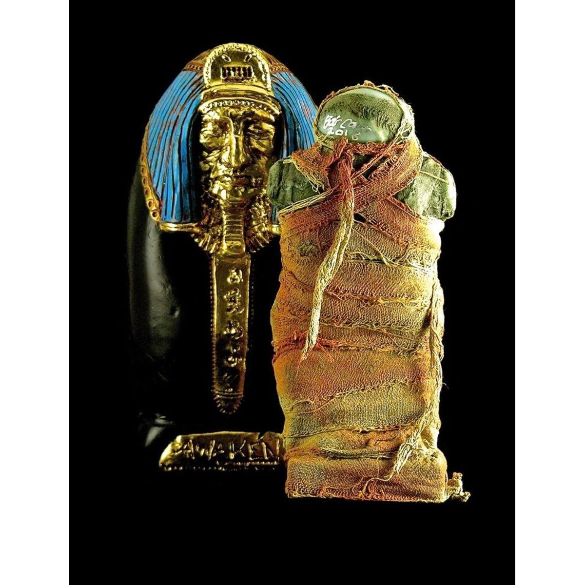 10th Anniversary Plaseebo Mummy No.2