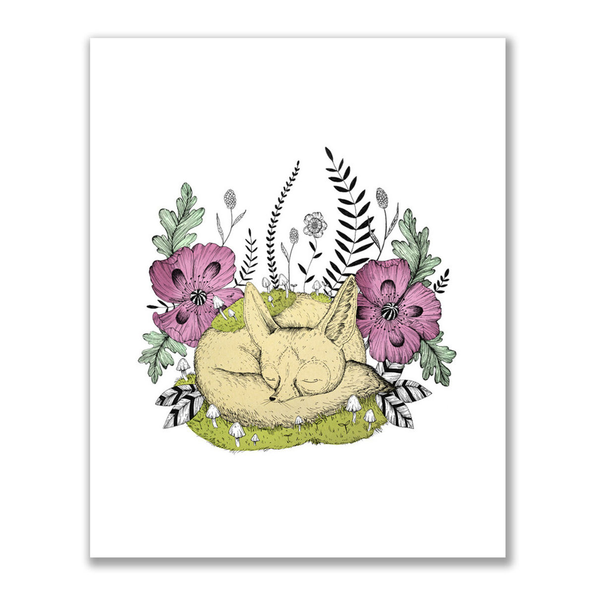 "The Fennec Fox" Print