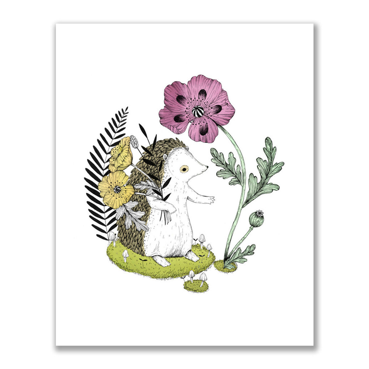 "The Hedgehog" Print