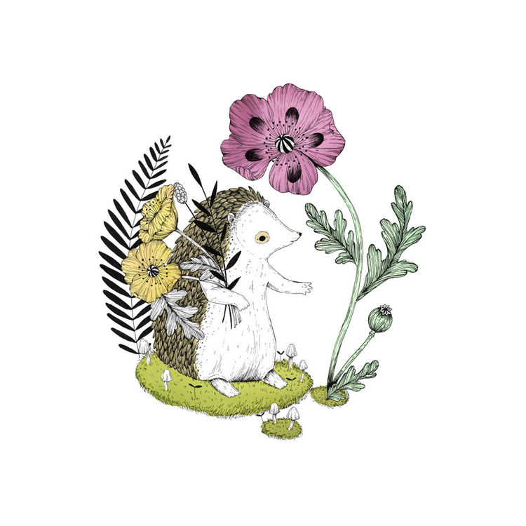 "The Hedgehog" Print by Marika Paz