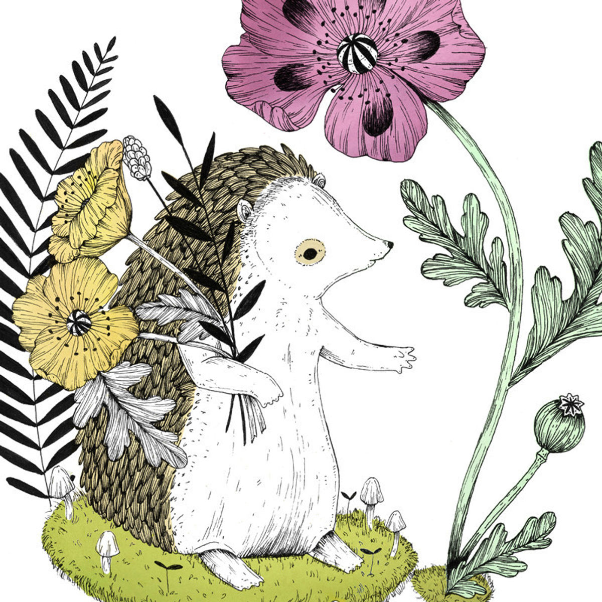 "The Hedgehog" Print
