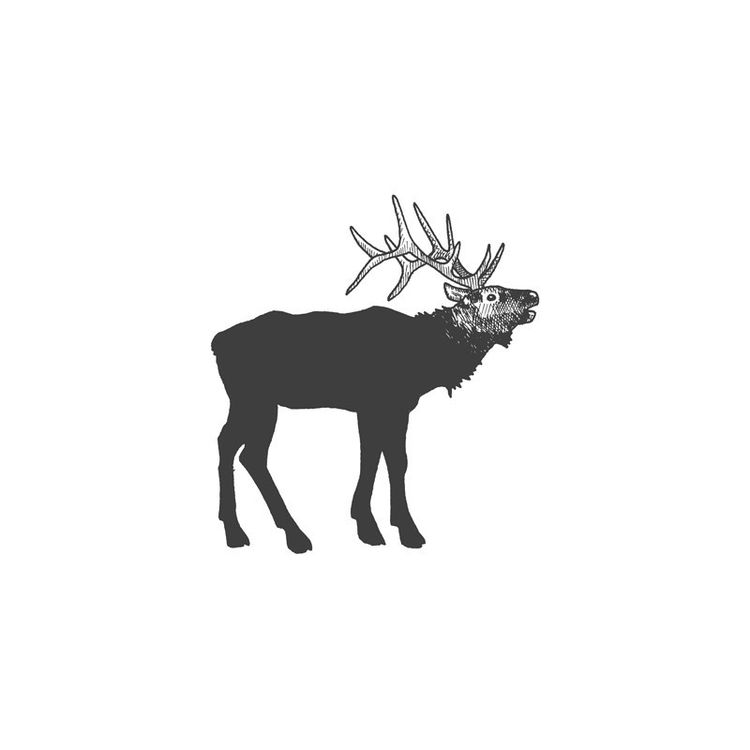 "Elk" Print by Sycamore Street Press