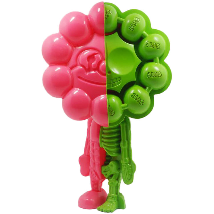 Rumbbell Dissected - Pink/Green by Ryan Lee