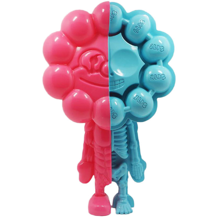 Rumbbell Dissected - Pink/Blue by Ryan Lee