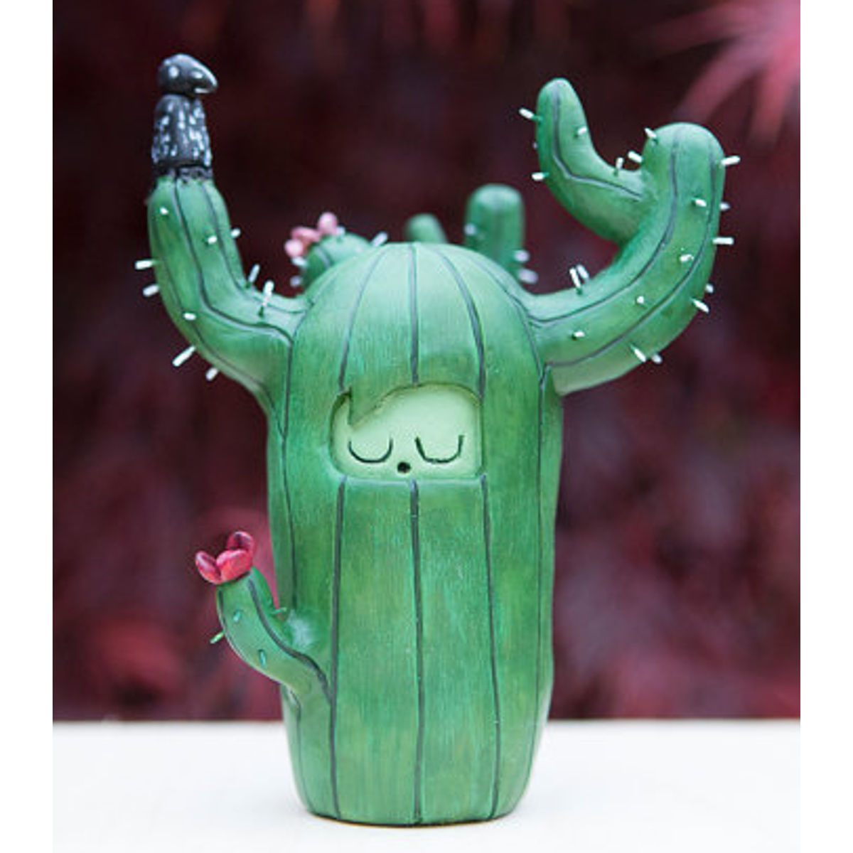 Moo Moo Cactus