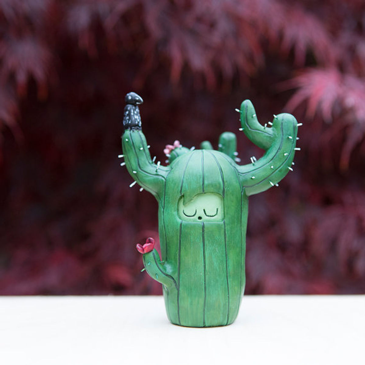 Moo Moo Cactus