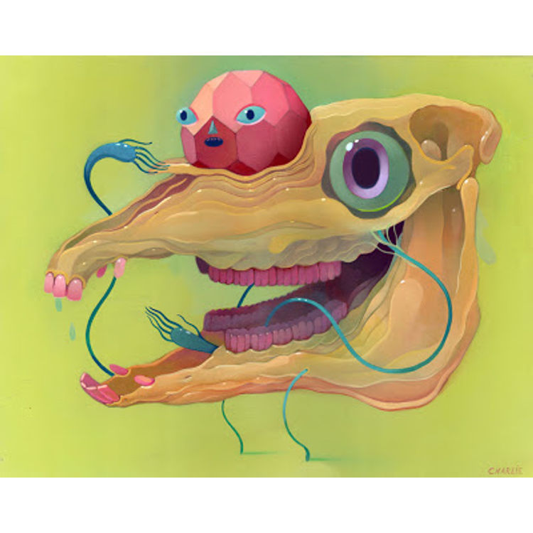 Horse Skull by Charlie Immer
