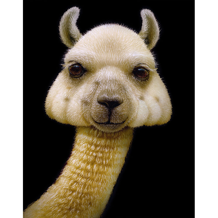 ShroomLlama by Naoto Hattori