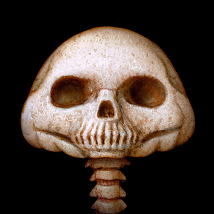 ShroomSkullhead by Naoto Hattori