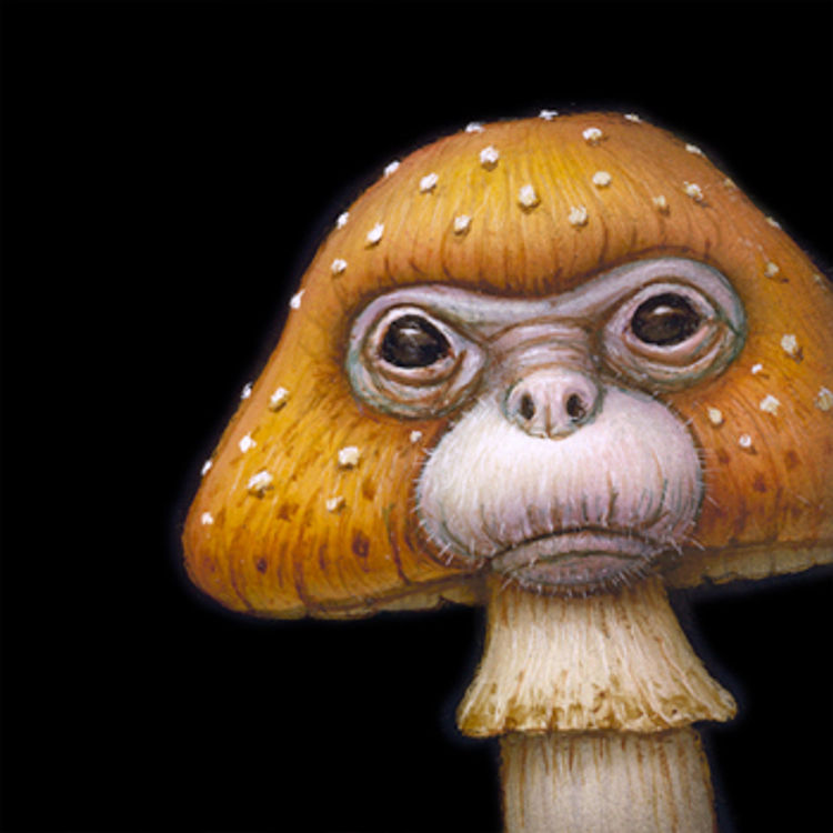 Peek 038 by Naoto Hattori