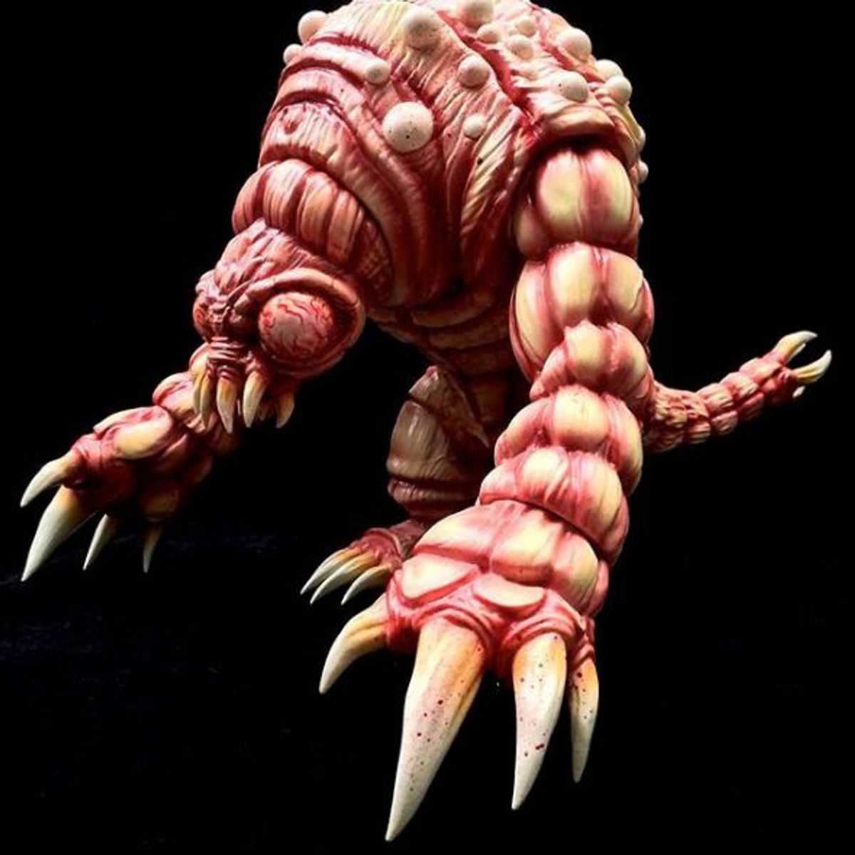 Cestoda - Blood Worm