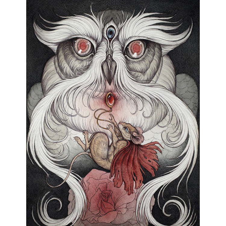 Courage of the Heart by Caitlin Hackett