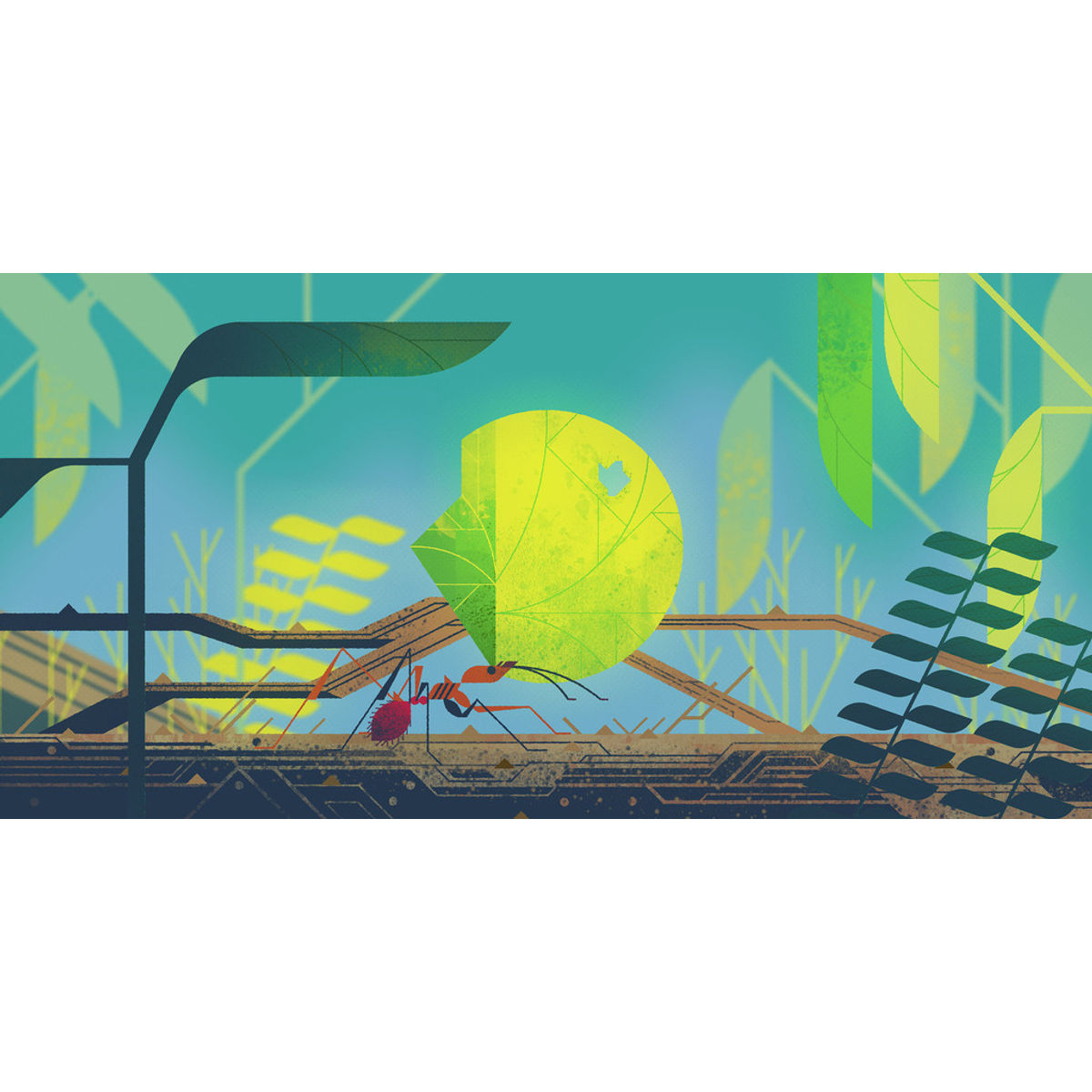 “Leaf Cutter Ant” Print