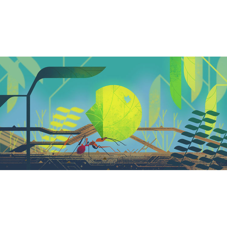 “Leaf Cutter Ant” Print by Kevin Dart