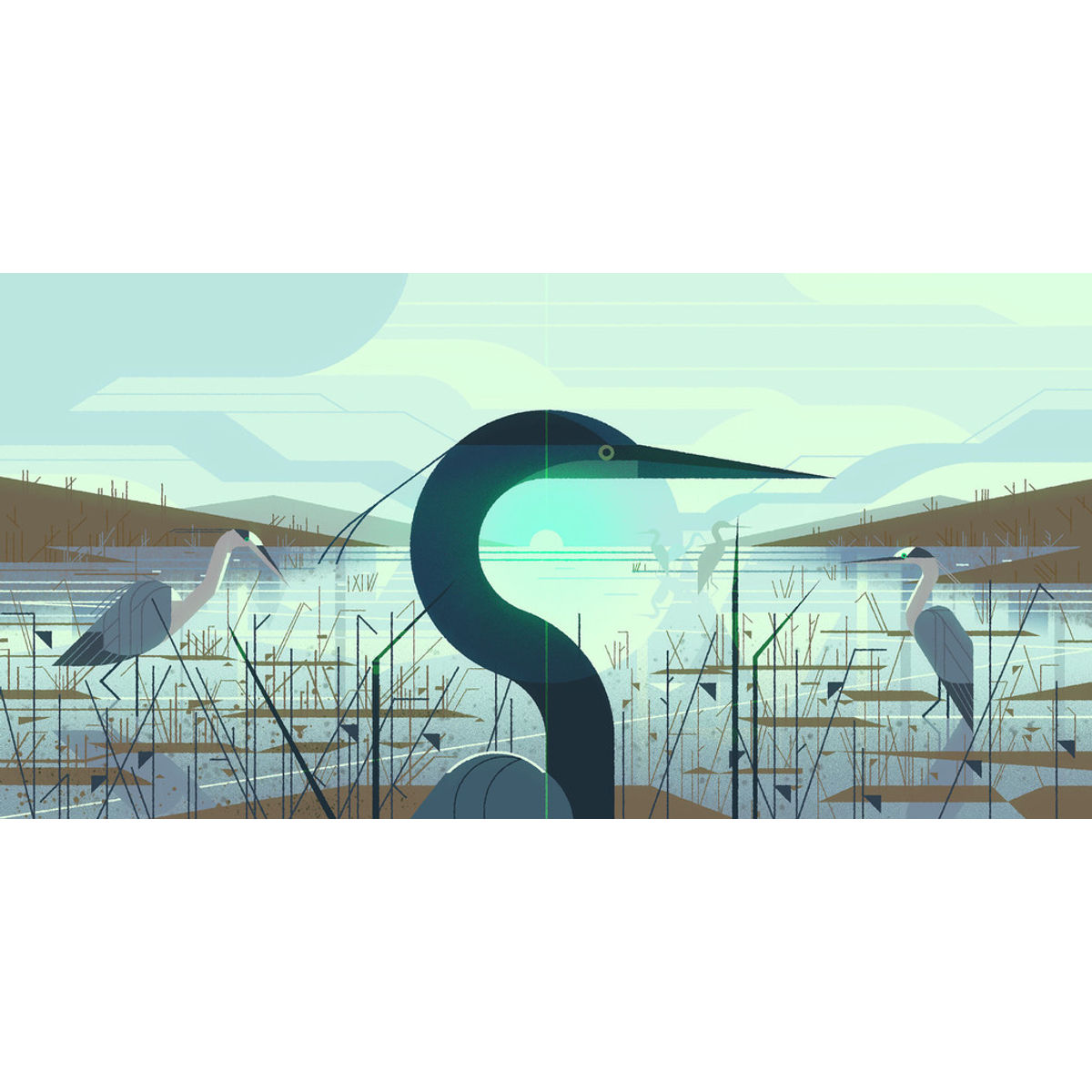 “North American Blue Heron” Print