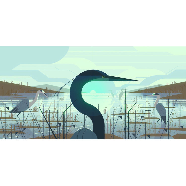 “North American Blue Heron” Print by Kevin Dart