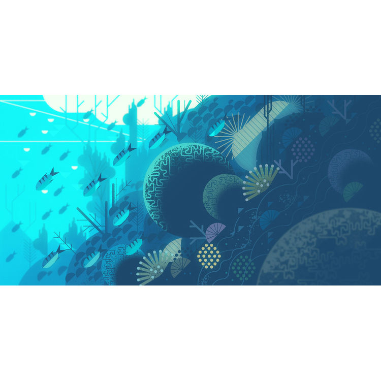 “Symbiosis in Coral Reefs” Print by Kevin Dart