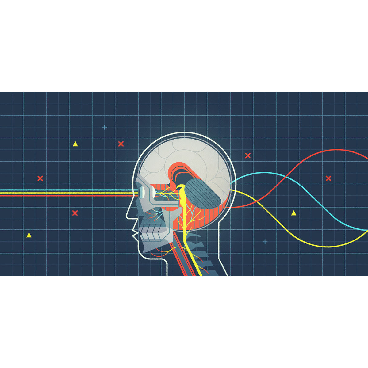“The Human Nervous System” Print