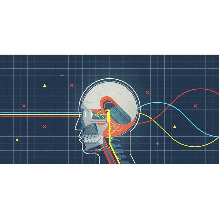 “The Human Nervous System” Print by Kevin Dart