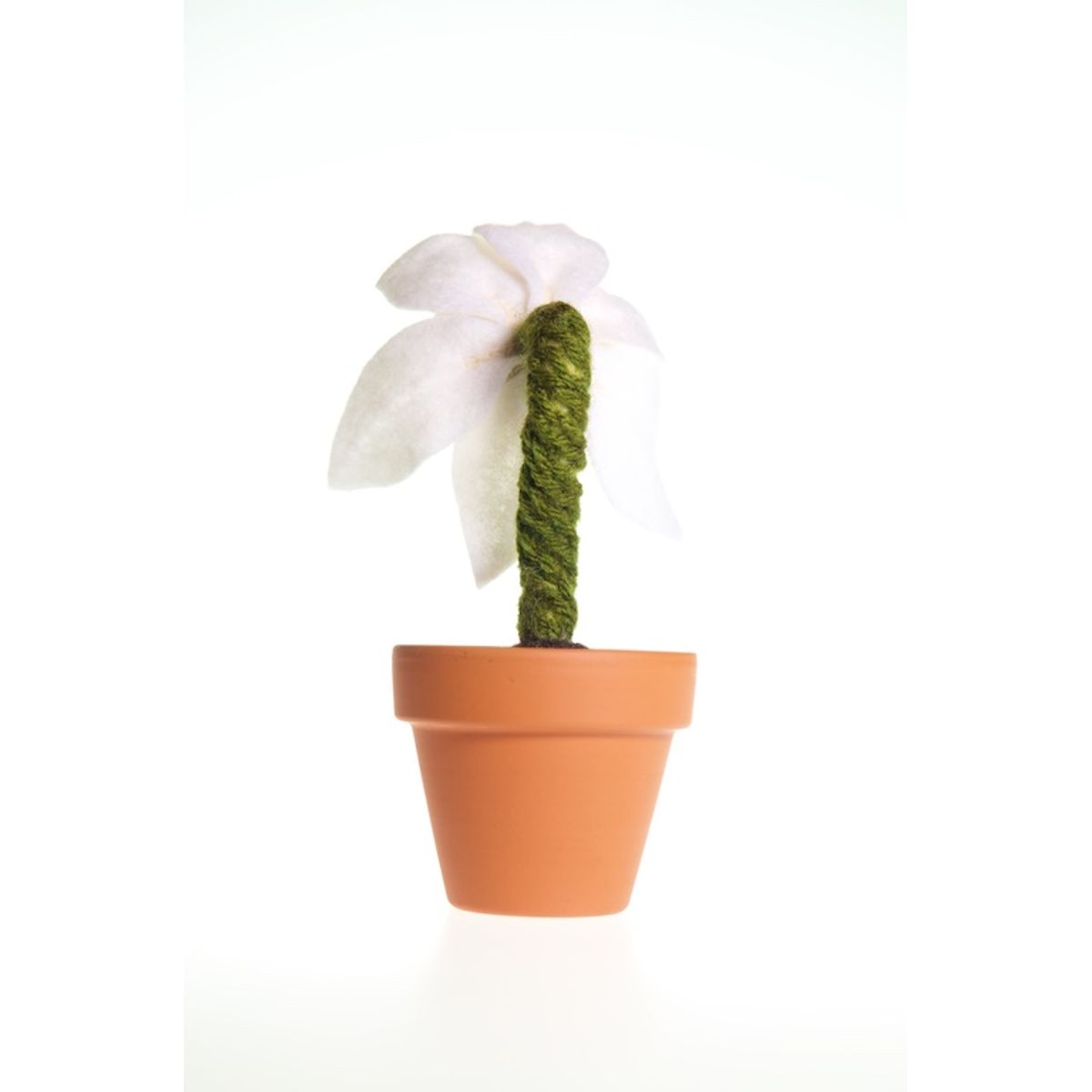 Holiday Caelestis Basiator (Heavenly Kisses) - White