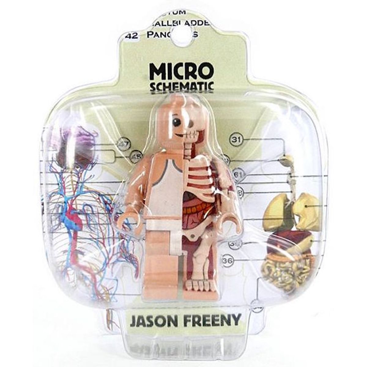 Micro Schematic OG Anatomic