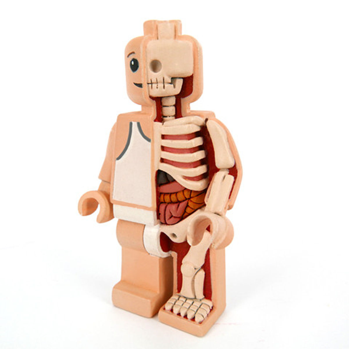 Micro Schematic OG Anatomic