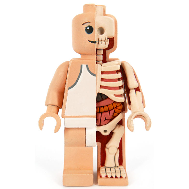 Micro Schematic OG Anatomic by Jason Freeny