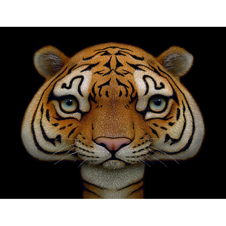 SHROOM TIGER 02 by Naoto Hattori