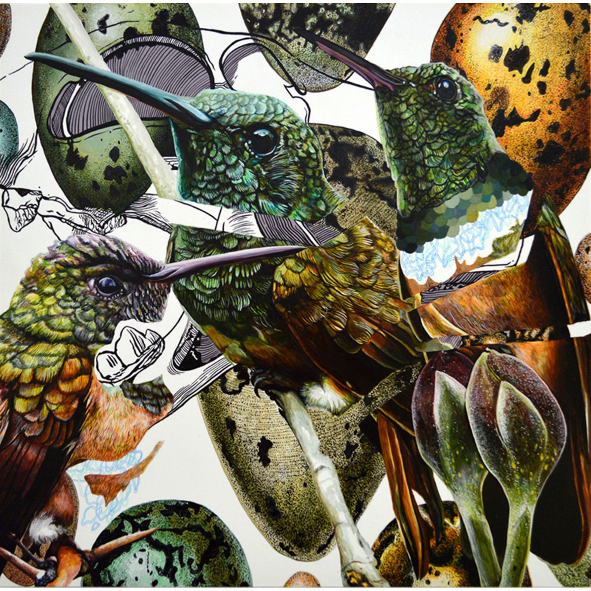 ENDANGERED BIRD #159