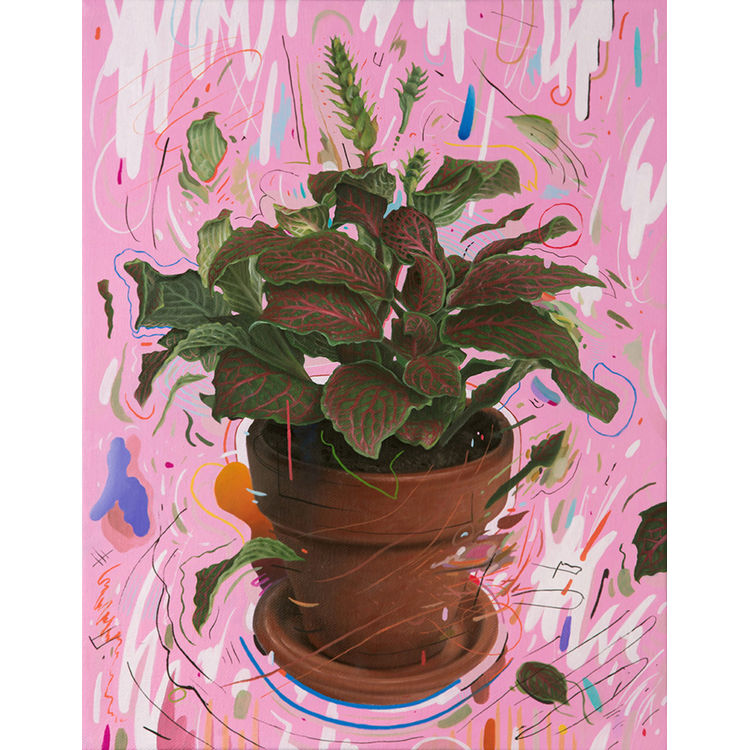 SPECIMEN 2015 by David Slone