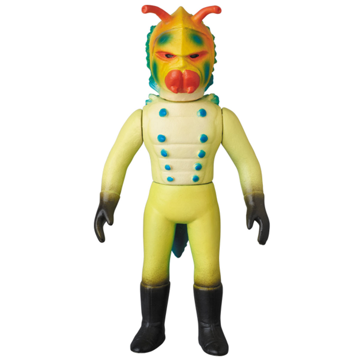 Dokuganda (larvae) middle size