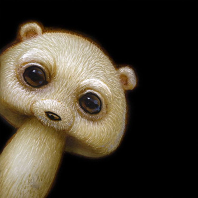 Peek 042 by Naoto Hattori