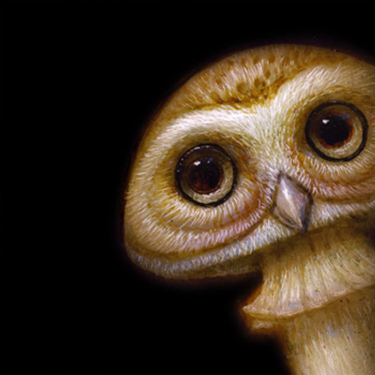 Peek 043 by Naoto Hattori