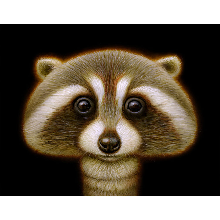 ShroonRaccoon by Naoto Hattori