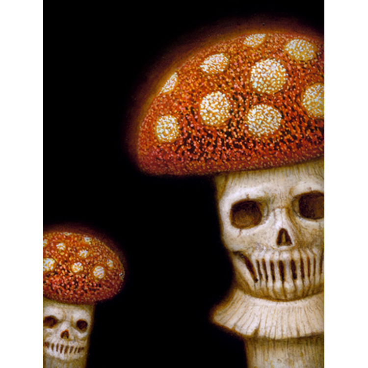 Peek 041 by Naoto Hattori