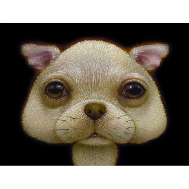 ShroomDog 04 by Naoto Hattori