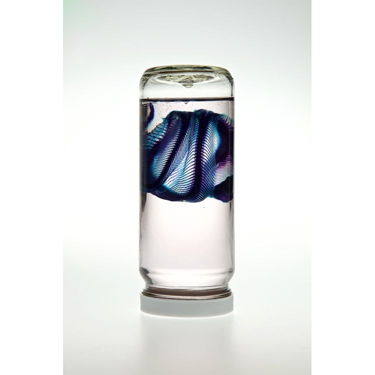 Ball Python #1 by Lucent Morphics Laboratories