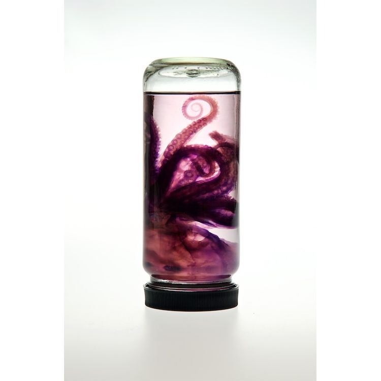 Octopus by Lucent Morphics Laboratories